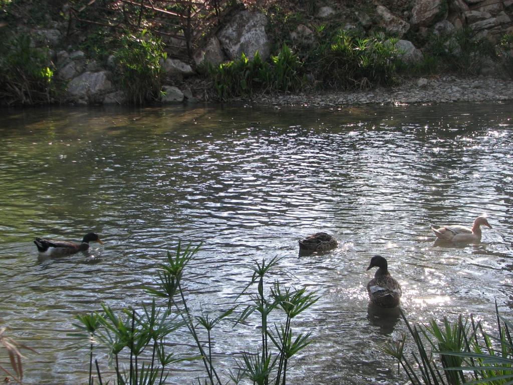 Adrasan River Hotel Kumluca 外观 照片